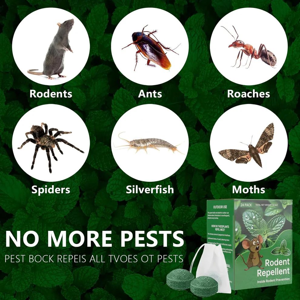 Peppermint Oil Rat Repellent Balls for Home | Pack of 24