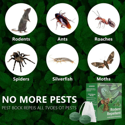 Peppermint Oil Rat Repellent Balls for Home | Pack of 24