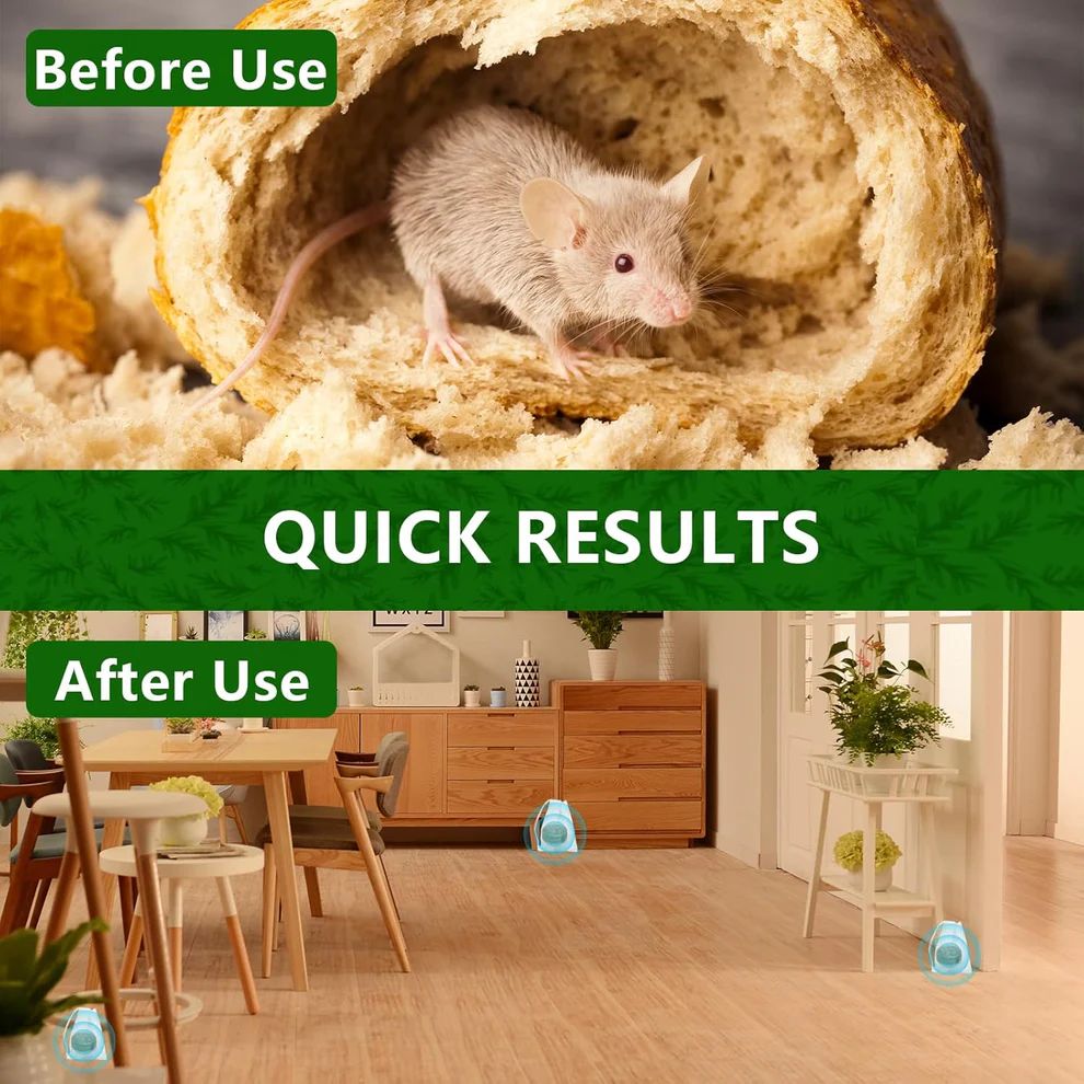 Peppermint Oil Rat Repellent Balls for Home | Pack of 24