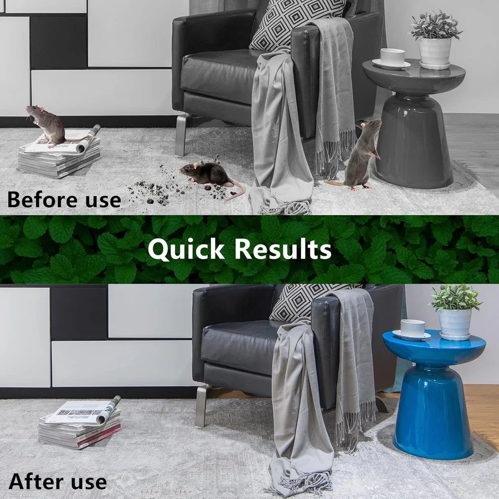 Peppermint Oil Rat Repellent Balls for Home | Pack of 24