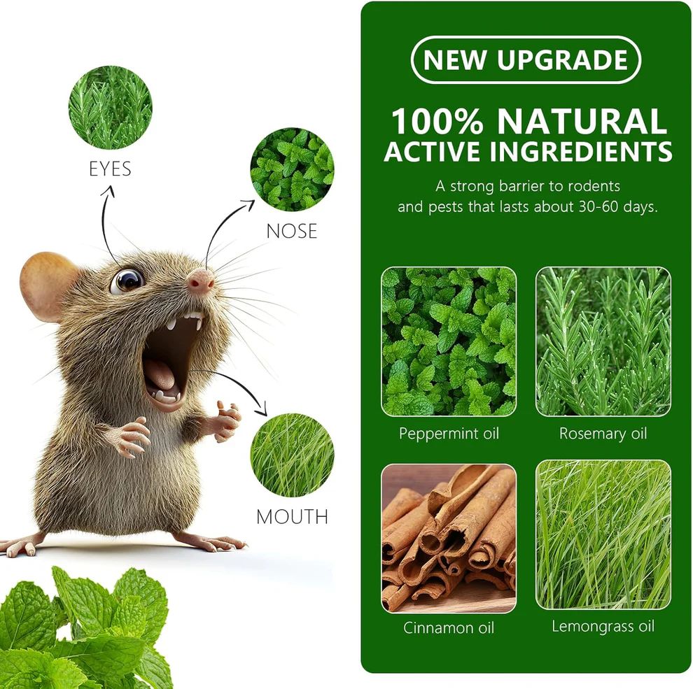 Peppermint Oil Rat Repellent Balls for Home | Pack of 24